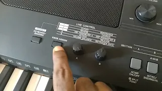 YAMAHA psr e463 "sustain notes without pedal" tutorial