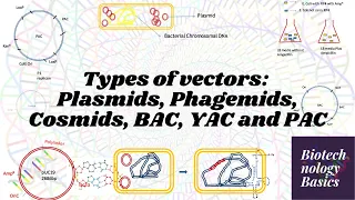 Types of vectors for genetic engineering  - Plasmids, Phagemids, Cosmids, BAC, YAC and PAC