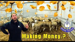 Farming Profits - More Money Per Lamb