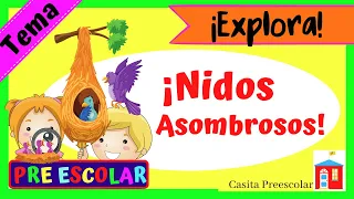 Nidos Asombrosos #Aprendeencasa PREESCOLAR