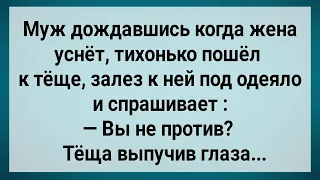 Как Зять По Ночам к Теще Заглядывал! Сборник Свежих Анекдотов! Юмор!