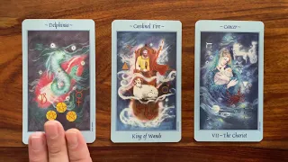 Excel in all areas! 9 August 2021 Your Daily Tarot Reading with Gregory Scott