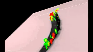 Social amoebae trap and kill bacteria by casting DNA nets