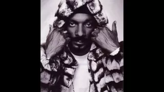 Snoop Dogg ft. Nate Dogg & Butch Cassidy - Gangsta Wit It