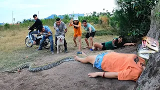 6 Brave Hunters With Pitbull Dog Confront Ferocious Giant Python To Save The Girl, Wild Hunter TV