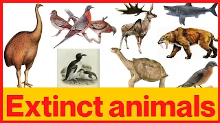 Extinct animals for kids | Extinct species | Kids Learning