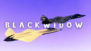 YF-23 |B L A C K W I D O W|