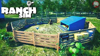 New Update | Ranch Simulator Gameplay | Part 31