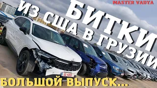 БОЛЬШОЙ ВЫПУСК. Рынок битых машин. Битки из США. W8 shipping. Рынок авто в Грузии. Мастер Вадя