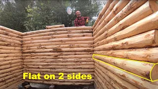 Building a Log Cabin Alone is Not Easy