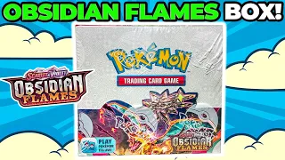 Pokemon Obsidian Flames Booster Box OPENING!