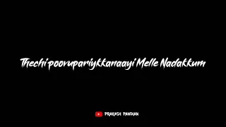 Pandu Paadavarambathiloode  || Joseph Malayalam Movie ||  Final Cut Lyrics