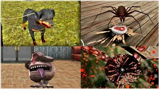 Creepy pets #5 | Head Horse's Dog vs Grandpa's Octopus vs Granny's Spider vs Evil nun's Gummy