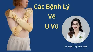 Các Bệnh Lý Về U Vú ở Phụ Nữ || Luận Japan || Bác Sĩ Ngô Thị Thu Yến