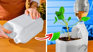 Intelligente Gartentricks für Ihren Innen- und Außenbereichspatio | Gartentricks für alle