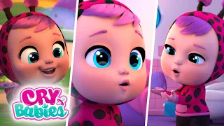 Happy Flowers | CRY BABIES 💧 MAGIC TEARS 💕 Long Video | Cartoons for Kids in English