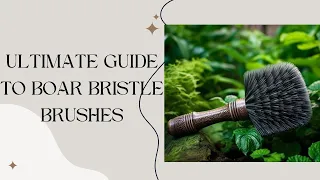 The Ultimate Guide to Boar Bristle Brushes: Benefits, Styling, and Eco-Friendly Hair Care