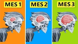 🧠 POR QUÉ PEDALEAR TE HACE MÁS LISTO (lo que nunca te han contado) 🚲 Salud Ciclista