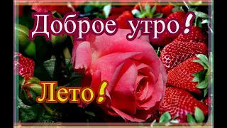 Доброе утро лето! Жизнь прекрасна! Хорошего дня! Музыкальная открытка С добрым утром для друзей.