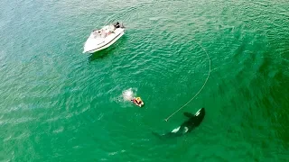 Inquisitive Orca Interacts With & Blows Bubble At Kneeboarder