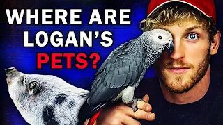 The Truth About Logan Paul and His Pets