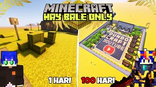 100 Hari di Minecraft tapi hay bale only