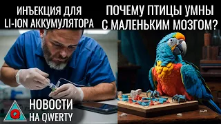 «Молоко» у амфибий. Ум птиц. Татуировки Этци. Восстановление аккумулятора. Новости QWERTY №292