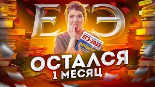 1 месяц до ЕГЭ по математике | Быстрая подготовка к ЕГЭ