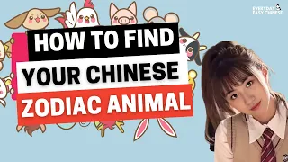 How to find out your Chinese zodiac animal