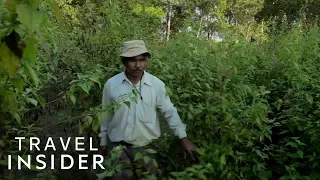 Man Planted An Entire Forest On An Island By Himself | Majuli Island, India