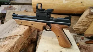 Crosman 1322 - More fun than a barrel of monkeys