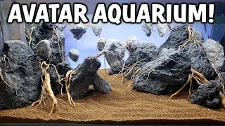 NEW AVATAR Planted Aquarium Setup! Part 1: The Aquascape