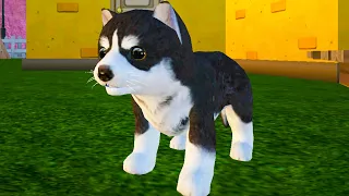 Симулятор Собаки Жизнь Животных #1 Кид завел Альфа Семью Маленьких волков в Dog Simulator