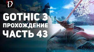 Прохождение: Gothic 3 | Часть 43 | Освобождение Нордмара | DAMIANoNE