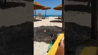 Тунис пляж Хаммамет погода супер