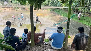 മൽസ്യ കർഷകന്റെ കുളം നാട്ടുകാർ വിലക്കെട്ടി 😳 വറ്റിച്ച് മീൻ പിടിച്ചപ്പോൾ | Fishing