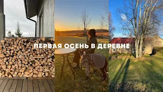 3. ОСЕНЬ В ФИНСКОЙ ДЕРЕВНЕ, обновляю старую кухню почти бесплатно, печка, первый снег