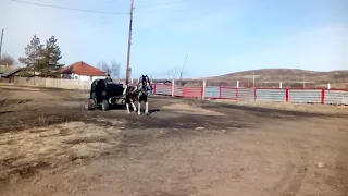 Конный экипаж