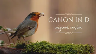 Canon in D Original Version เพลงฝึกสมาธิแบบ 4 8 8 คลื่นอัลฟ่า เพลงผ่อนคลาย ธรรมชาติ เพลงคลาสสิคแคนอน