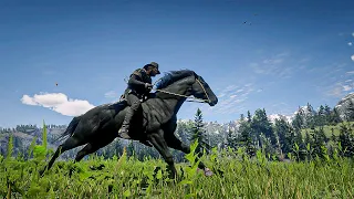 9 Best, fastest & Rarest Wild horse breed location in Red Dead Redemption 2