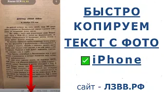 ✅ Как копировать текст с фото на Айфон | Распознавание текста по фото iPhone