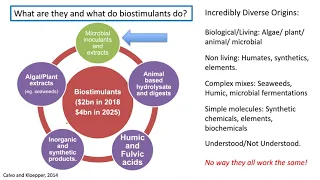 P. Brown - Biostimulants in agriculture