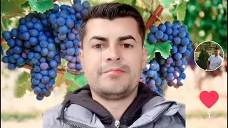 ✅🍷🍇Cum Conservam/Limpezim și Remediem Vinurile foarte simplu !✅🍷🍇