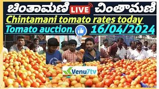 || Chintamani ||today ||16/04/2024 || today tomato rates in Chintamani ||Venu7tv #today #Chintamani