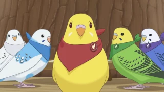 自主制作アニメ　インコカラーズ