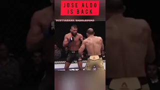 jose aldo body shot #shorts #viral #mma #ufc #josealdo