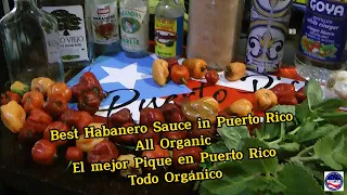 Making Habanero Puerto Rican Hot Sauce & my daily routine