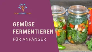 Gemüse fermentieren für Anfänger - eine einfache Anleitung - Gemüse auf gesunde Weise haltbar machen