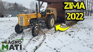 ZIMA 2022!❄Codzienne OBOWIĄZKI🐏Nowe Zwierzęta🐴