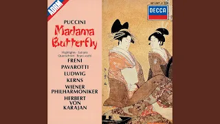 Puccini: Madama Butterfly / Act 2 - Una nave da guerra... Scuoti quelle fronda